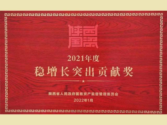 2021年度穩增長突出貢獻獎
