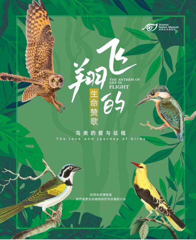 圖片1.jpg